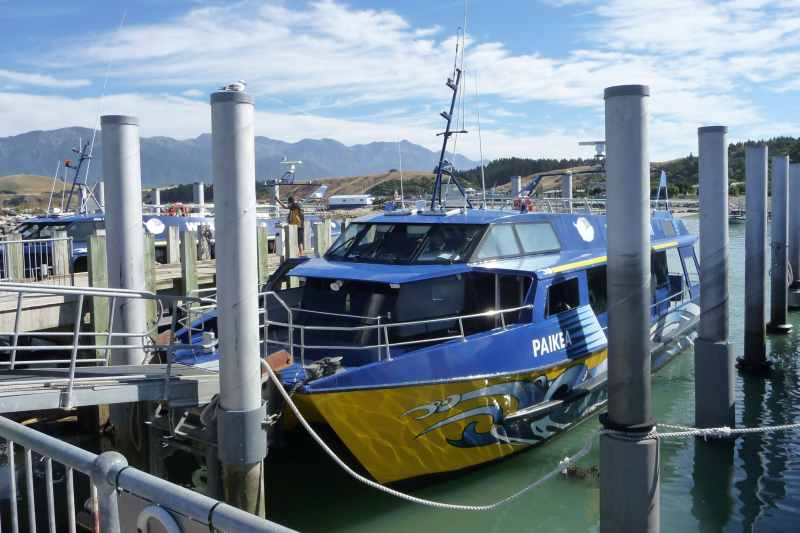 Nieuw-Zeeland 2011 - 1195